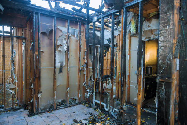 Professional Soot Cleanup technician working in Vashon, WA